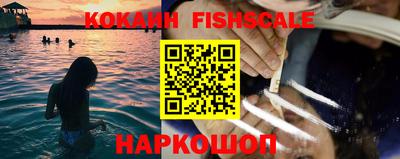 крисы Моздок