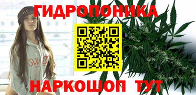 дмт Бузулук
