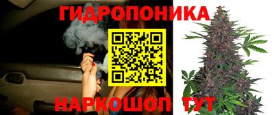 2c-b Бугуруслан