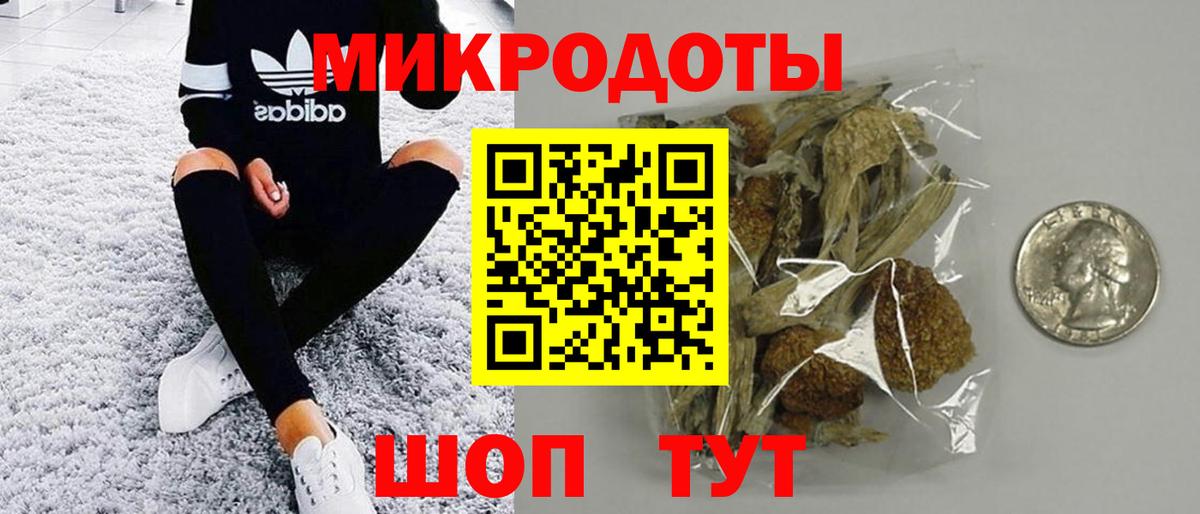 Галлюциногенные грибы Psilocybine cubensis Ялта